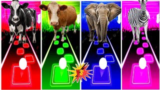 Funny Cow 🆚 Funny Cow 2024 🆚 Funny Elephants 🆚 Kangaroo.🌟 Best Edm Rush Gameplay ✅