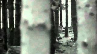Girls In Hawaii - Found in the ground (with lyrics)