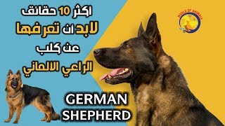 أكثر 10 معلومات لابد أن تعرفها عن كلب الراعي الألماني | حقائق عن جيرمن شيبرد | German Shepherd Dog