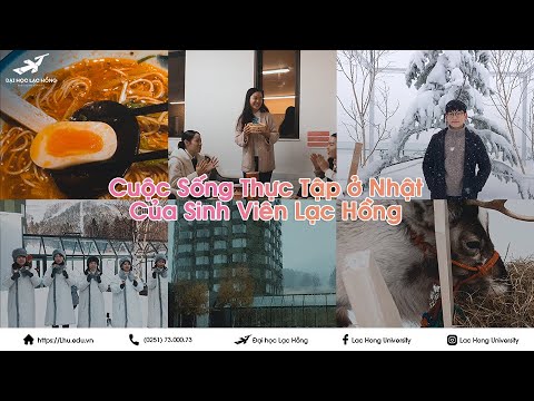 Top 16 Công ty Xuất khẩu Lao động tại Tỉnh Phú Yên Tuyển dụng Lao động Phổ thông [Cơ hội  Thách thức]