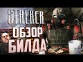 [S.T.A.L.K.E.R.] ОБЗОР билда FROZEN ZONE | Мы ждали этого 7 лет