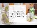Lacto Fermented Dill Pickles | NATURAL PROBIOTICS