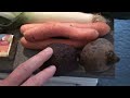 221. Жизнь в Германии. Бесплатные продукты в Германии. Германия. Кёльн 26.03.2021
