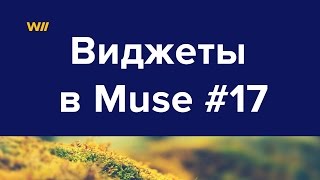 Использование виджетов для Adobe Muse #17 Использование виджетов для Adobe Muse #17
