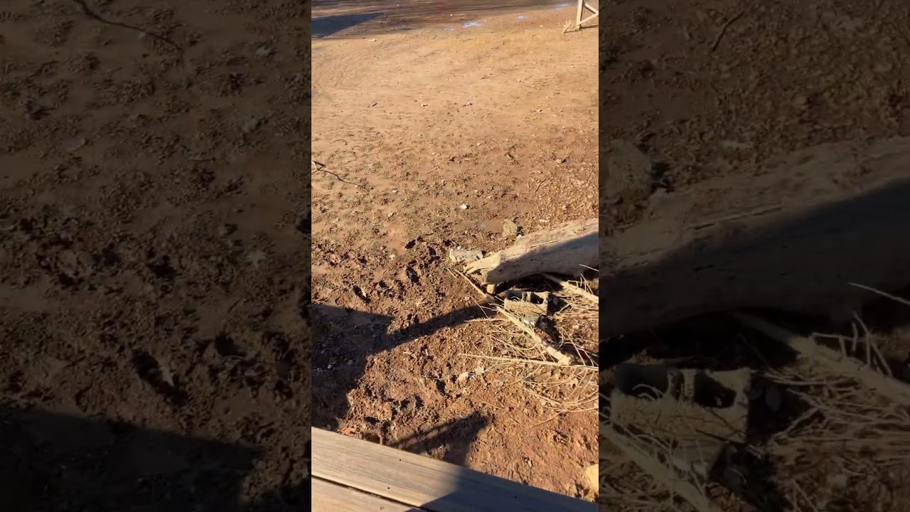 Single slip boat dock 