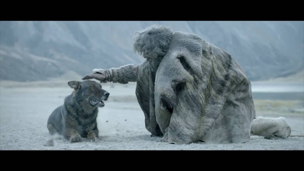 Pedigree tiene nueva campaña: Alexandre Antonello, director mercadotecnia Mars Petcare