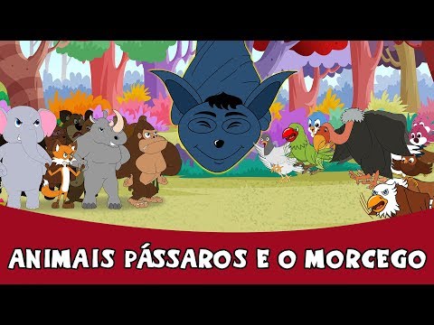 Vídeo: Diferença Entre Morcegos E Pássaros