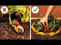 Genius Ways to Grow And Protect Your Plants