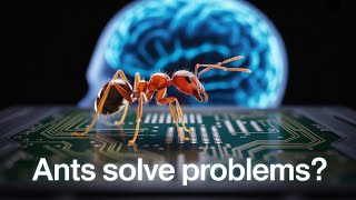 Ants Are Way Smarter Than You Think