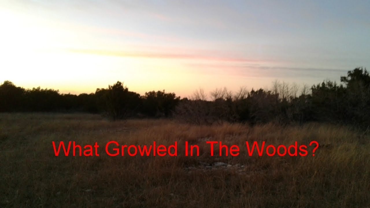 rural life cantabria Did A Bear Visit Me?