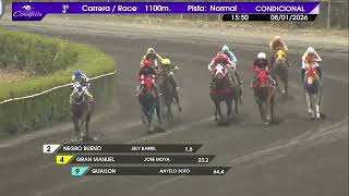 Vidéo de la course PMU PRIX AQUI ESTOY