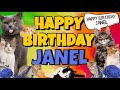 Happy Birthday Janel! Crazy Cats Say Happy Birthday Janel (Very Funny)