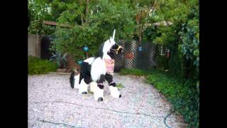 Gypsy Vanner Unicorn Costume - Must Be 18 Or Older To Order