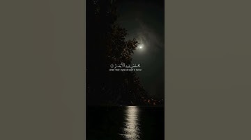 سورة إبراهيم-Ibrāhīm-وَلَا تَحْسَبَنَّ اللَّهَ غَافِلًا عَمَّا يَعْمَلُ الظَّالِمُون-یاسر الدوسری ۚ