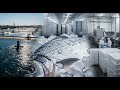 “From Fish Farming to Frozen Fish Export: Complete Aquaculture Processing, Harvesting, Freezing