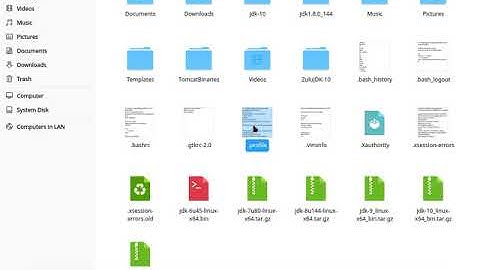 Java 10 (Oracle JDK 10), How to install in Deepin 15 | Java SE 10
