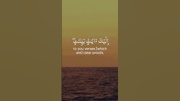 شيخ رعد محمد الكردي {{ سورة البقرة }}