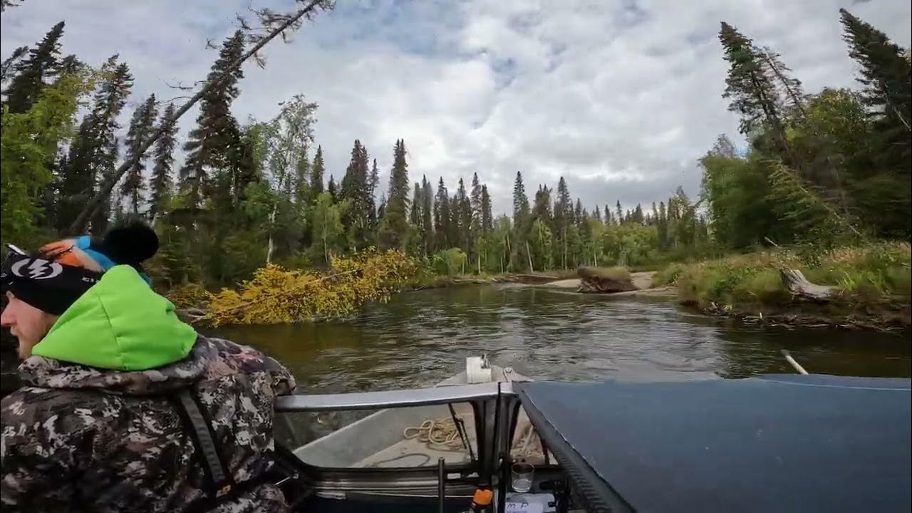 Upper Salcha River, Alaska September 2022 YouTube