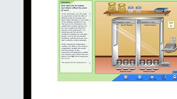 Scientific Method Virtual Lab Video