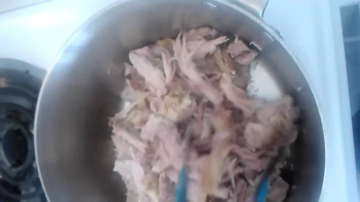 Gypsy carnitas by april mcgill