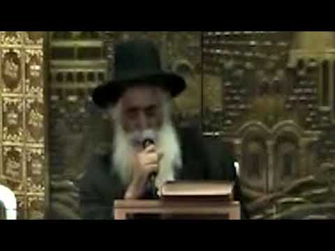 הרב יורם אברג'ל - המסר היומי - בין ט''ו באב ליום כיפור -י''ח אב תשע''ט