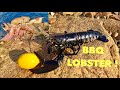 LOBSTER - Catch & Cook , Cannons & Forts - VLOG , BBQ Lobster on a Hot Summers Day !