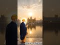 DhanGuruNanak #kirtanshorts #shimlawale #shabadgurbani #gurbani #shortsfeed #trendingshorts #wmk