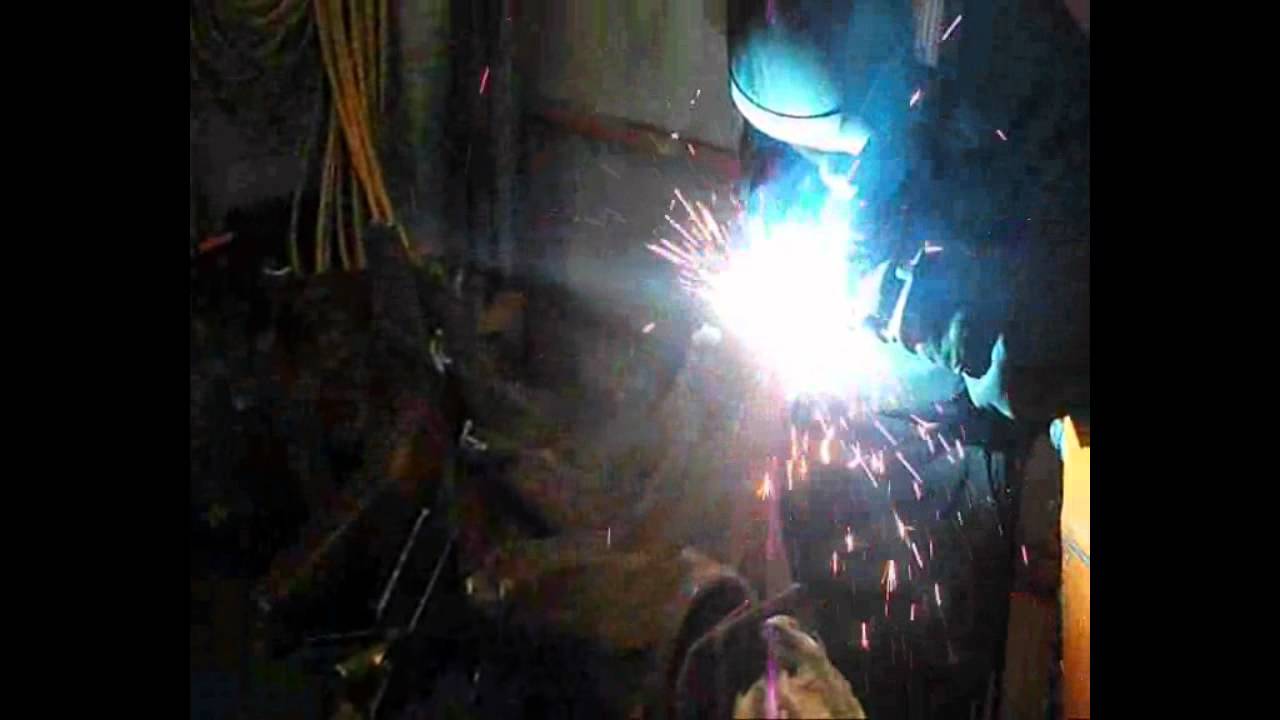 Work experience on the farm