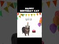 OIA Cat Wishes You Happy Birthday OIA Cat Wishes You Happy Birthday