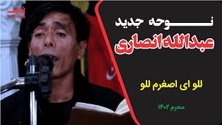 نوحه عبدالله انصاری للو ای اصغرم للو محرم ۱۴۰۲ - مسجد امام حسن مجتبی علیه السلام کابل نوحه