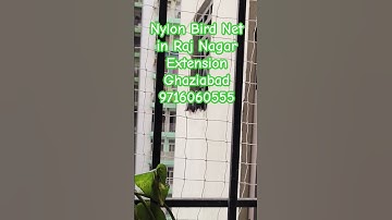 Nylon Bird Net in Raj Nagar Extension Ghaziabad 9716060555 #viralshort #viralvideo #viralshorts
