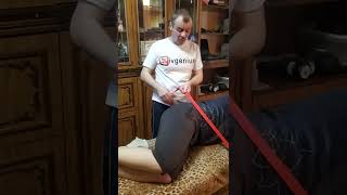 видео: МФС и  картинка: МФС и