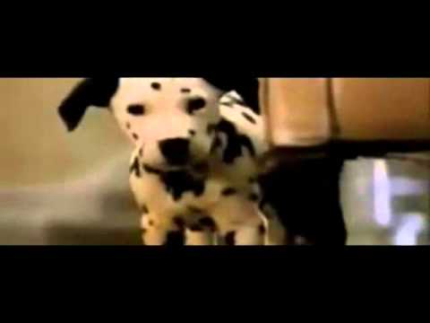 101-dalmatians-full-movie-trailer