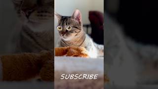 Dropping In Unexpectedly