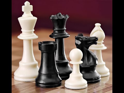 بث مباشر لعبه الملوك Chess اجمع عشاق الشطرنج هنا