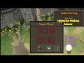 DV8 v5 HCIM Episode #5