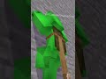 #minecraft