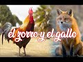 EL ZORRO Y EL GALLO (cuento)