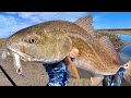 Catching Redfish In Coastal Creeks (During Incoming & Outgoing Tides)