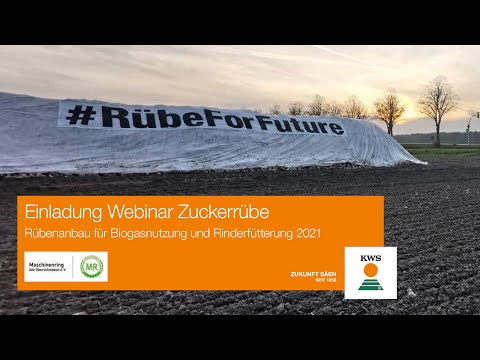 Webinar Zuckerrübe: Rübenanbau für Biogasnutzung und Rinderfütterung 2021