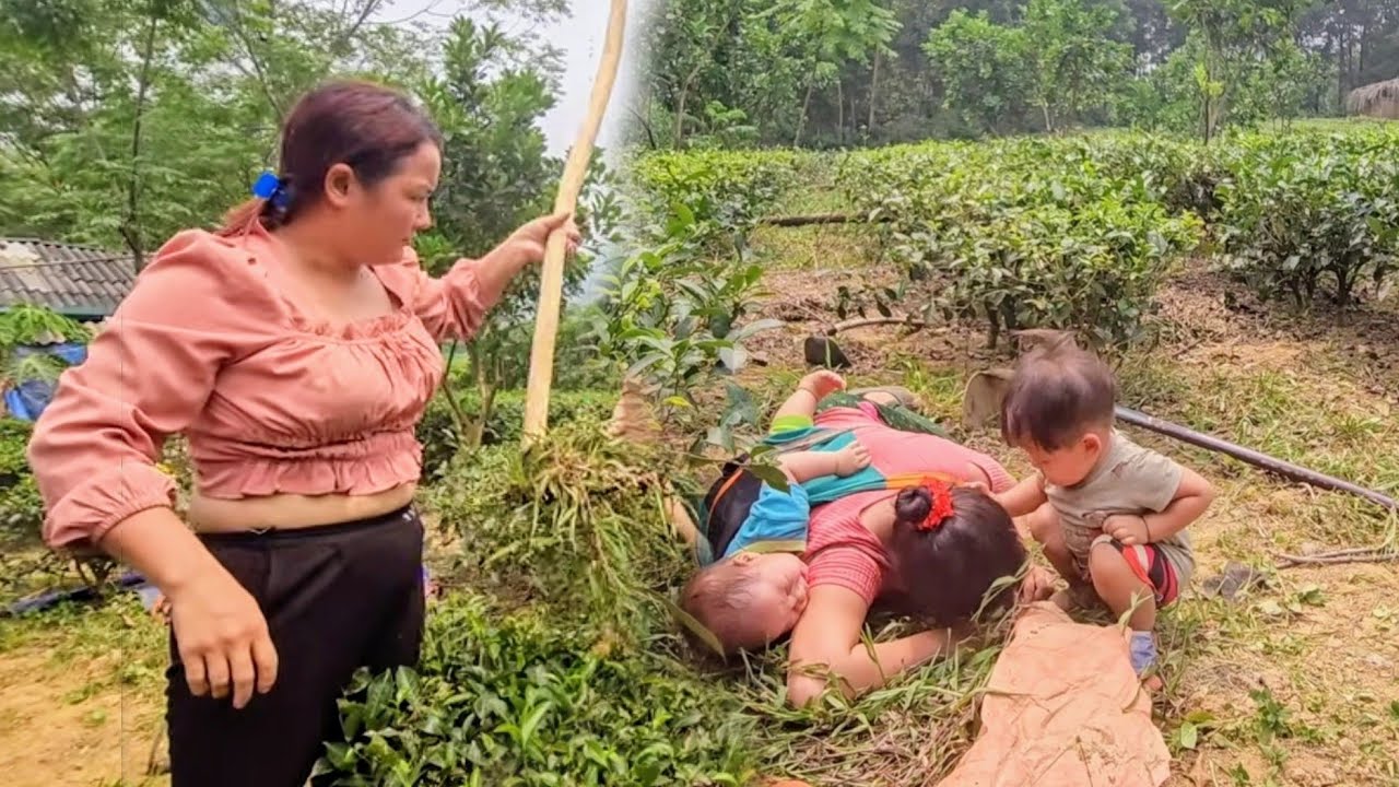 Một năm qua, bà mẹ đơn thân chịu nhiều áp lực vì mẹ chông độc ác - lý thi My