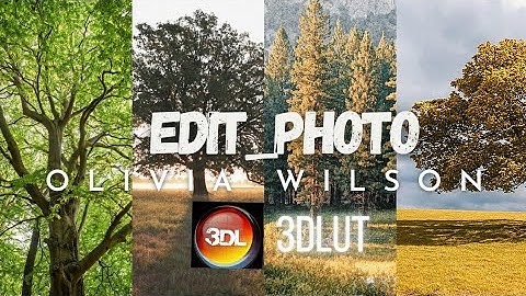 3DLut photo editing!3d Lut appediting!3DLut colour grading!3dLutvideo editing!3 DLut Bule tone edit
