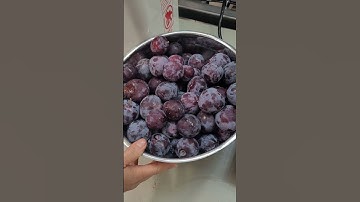 How to use a steam juicer to extract juice from fruit.  #food #howto