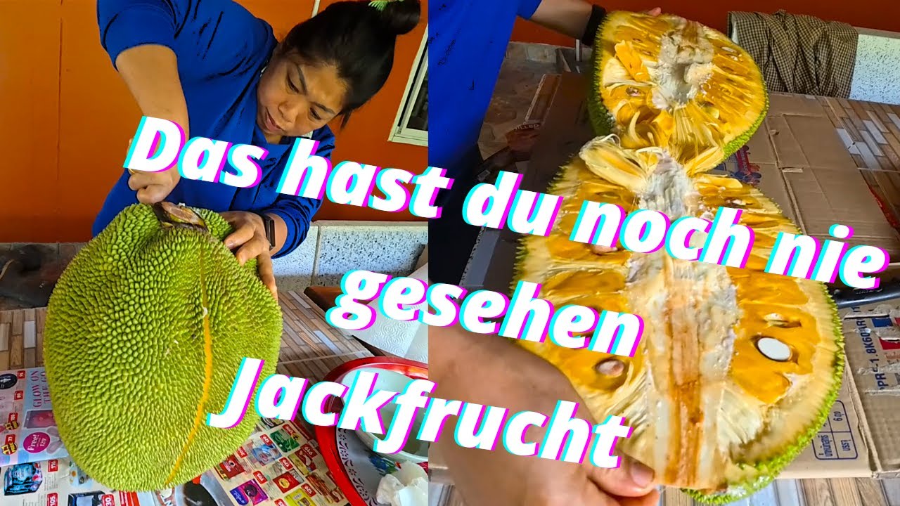 So wird eine Jackfrucht in Thailand zerlegt. Wo wächst die? Wie schwer wird so eine Frucht?