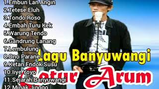 Full album the best catur Arum