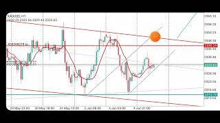 تحليل الذهب الاسبوعي تاريخ 5 6 2024 .