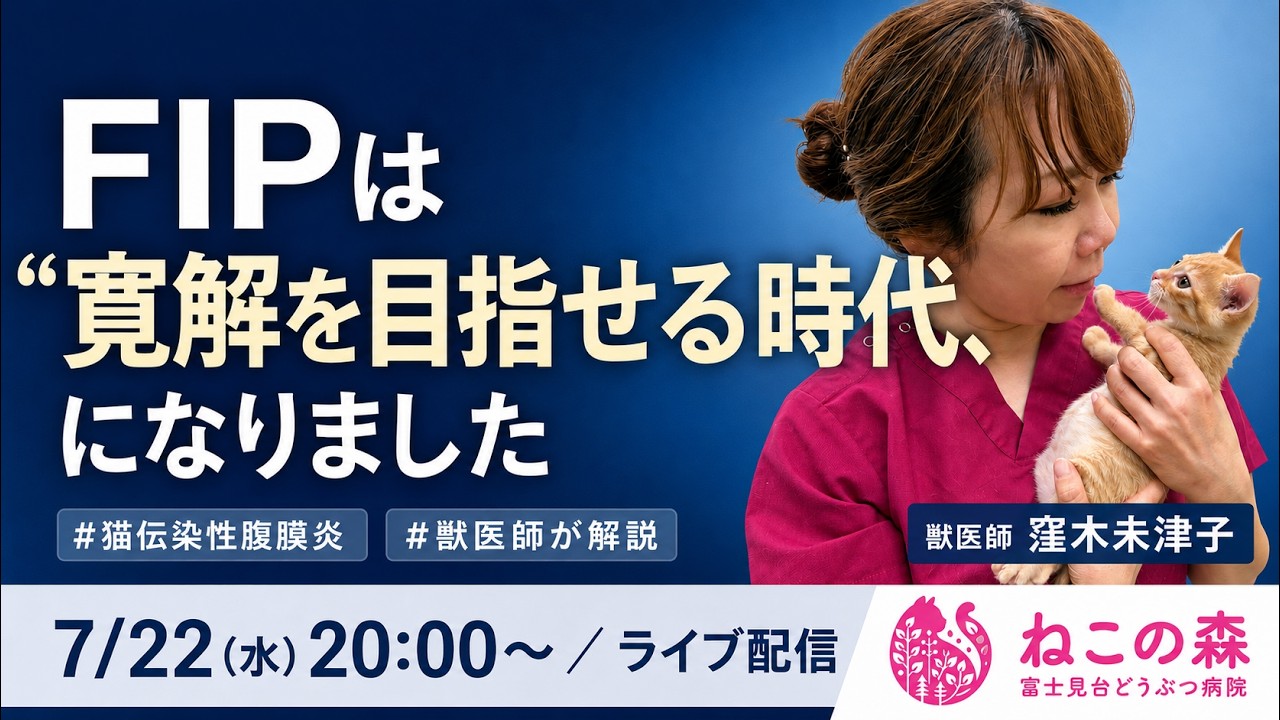 獣医師ライブ】FIPは“寛解を目指せる時代”になりました｜猫伝染性