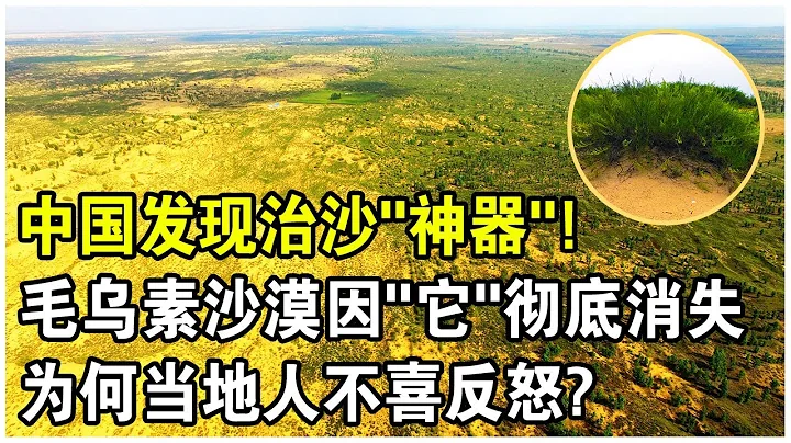 中国发现又一“治沙神器”！毛乌素沙漠因这只”吞沙巨兽“彻底消失！为何当地人对它痛恨不已？ - 天天要闻