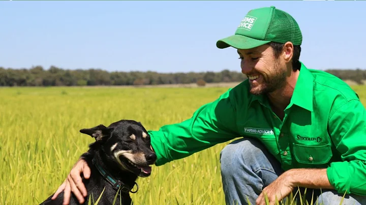 Creating Culture In Farming | Stuart Wesley - Farm...
