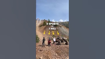 Who Will Be The Fastest?! 👀